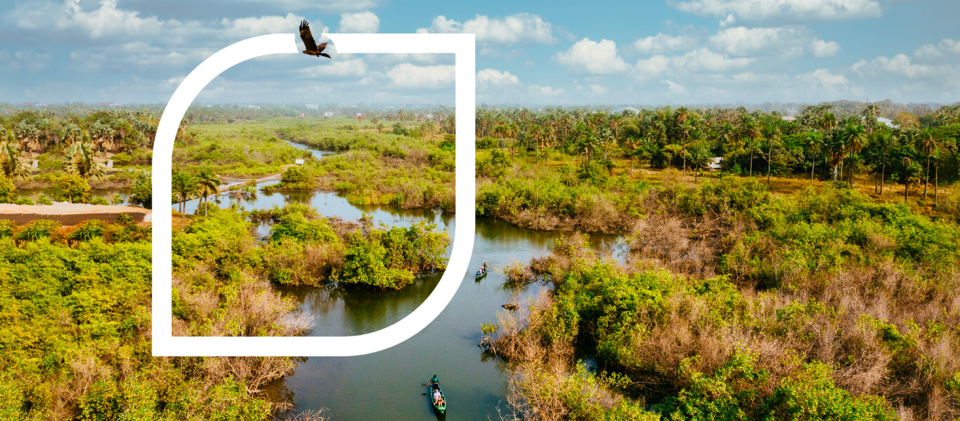 Día mundial de los humedales: protectores del planeta